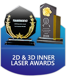 Image 120: 2D & 3D Inner Laser Awards