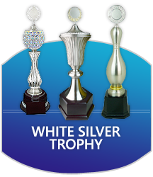 Image 117: White Silver Trophy